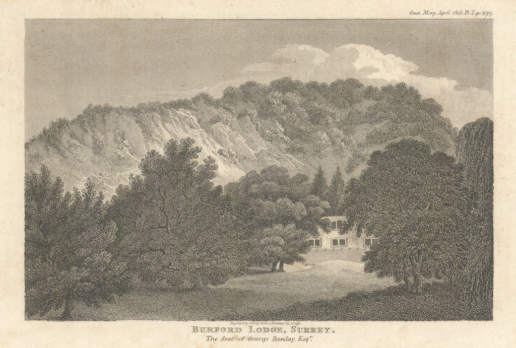 Burford Lodge, Dorking, Surrey, the Seat of George Barclay Esq. 1816 old print